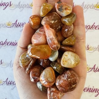 South Red Agate Tumbled