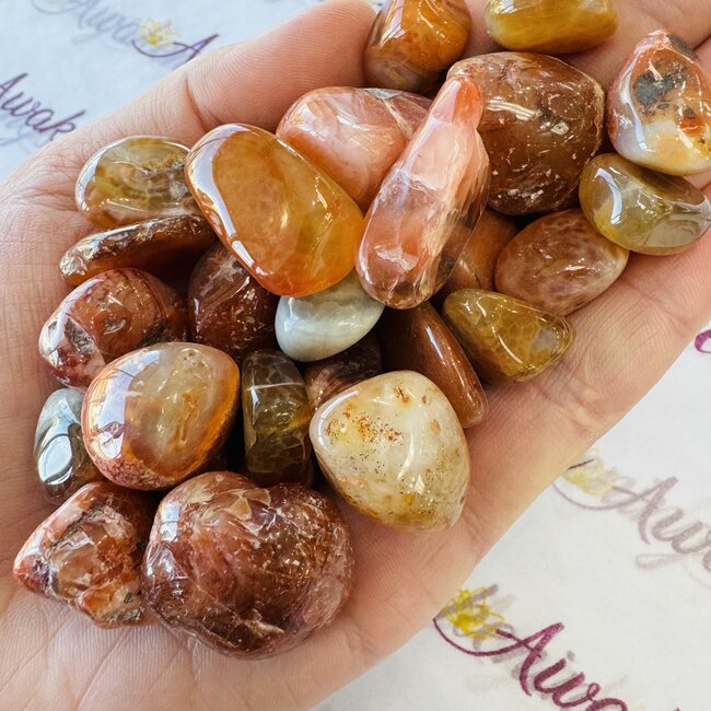 South Red Agate Tumbled