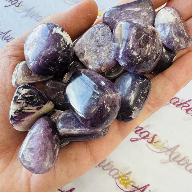Purple Lepidolite with Mica (Muscovite) - Tumbled