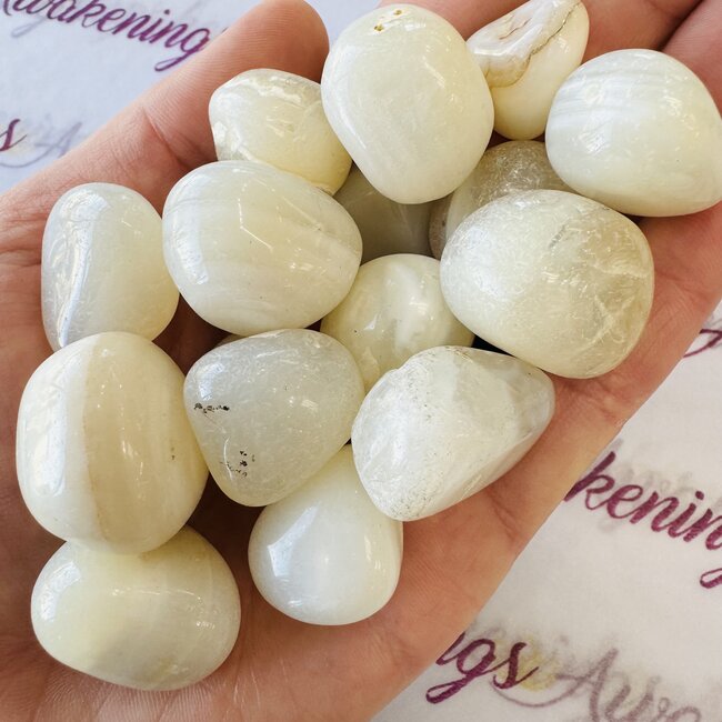 White Chalcedony - Tumbled