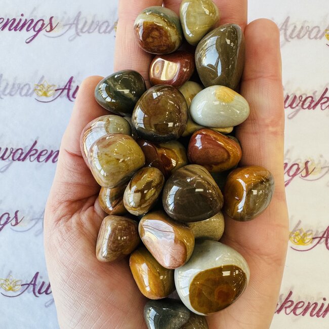 Desert Polychrome Jasper - Tumbled