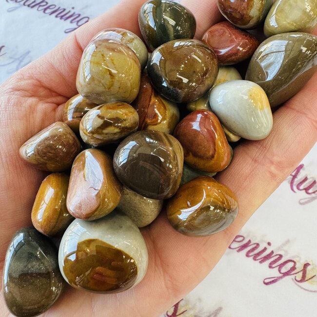 Desert Polychrome Jasper - Tumbled