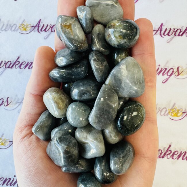 Eagle Eye Jasper Tumbled