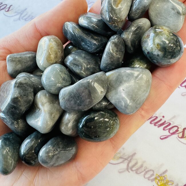 Eagle Eye Jasper Tumbled