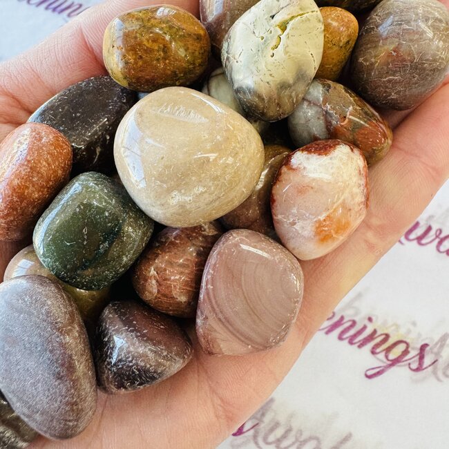 Imperial Jasper- Tumbled