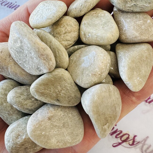 Silver White Aventurine - Tumbled