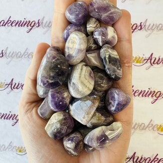 Chevron (Dream) & Prasiolite Amethyst - Large Tumbled