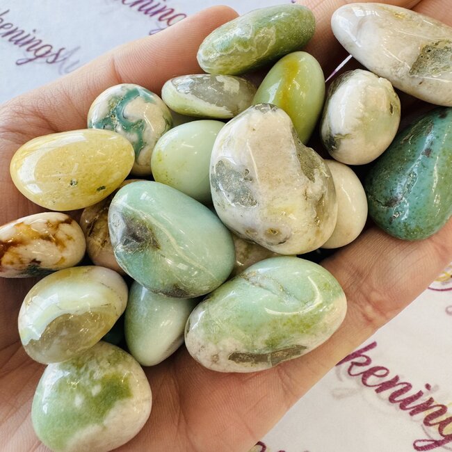 Green Flower (Cherry Blossom ) Agate - Tumbled