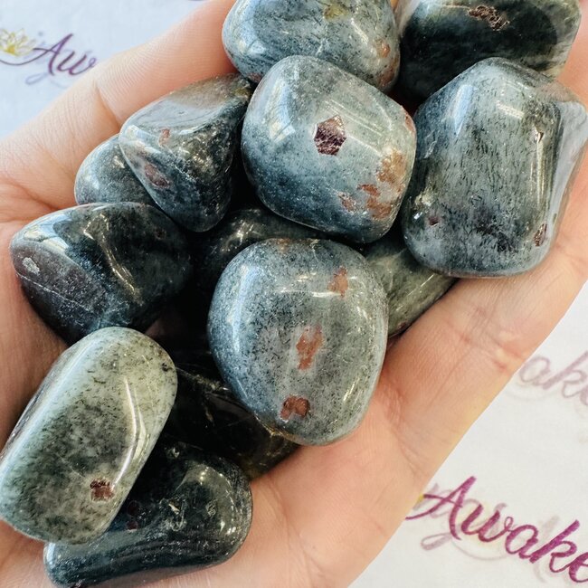 Garnet Amphibolite - Tumbled