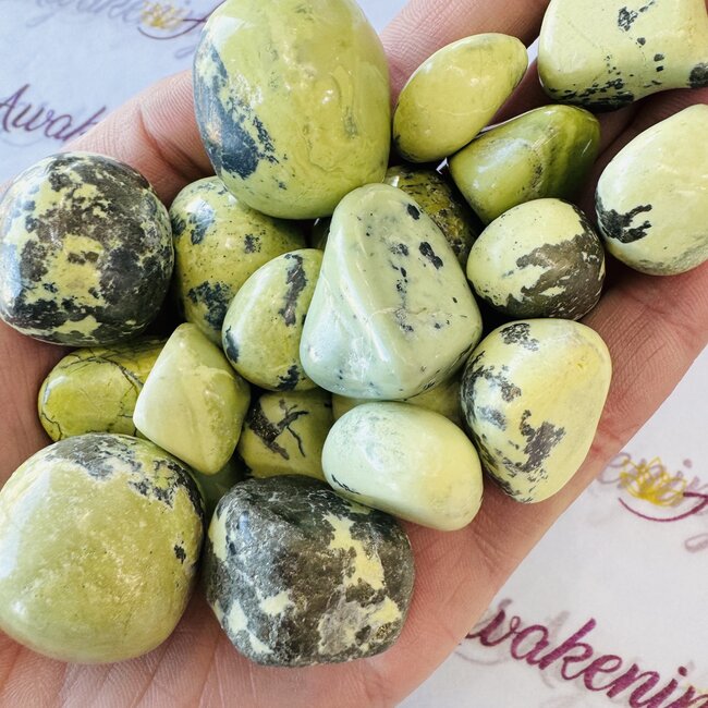 Serpentine & Pyrite - Tumbled