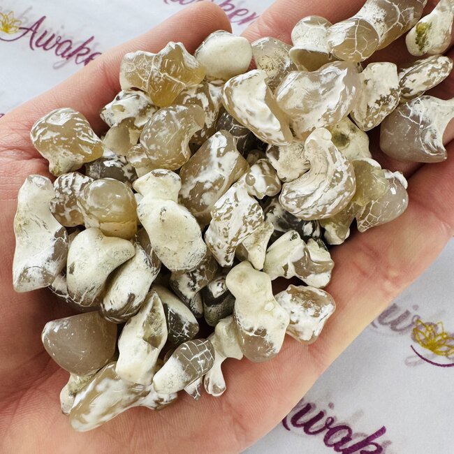 Snakeskin Snake Skin Agate - (Tumbled)