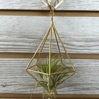 Air Plant Holder (Gold Plated) w/ Prism Faceted Ball and Teardrop Prism - Geometric Hanging Decor