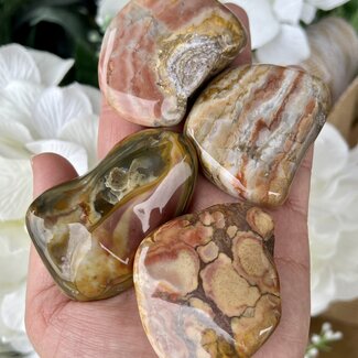 South Dakota Prairie Agate - Tumbled XXL