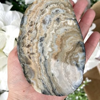 South Dakota Prairie Agate Specimens - Large One Face Polished Rough Raw Natural