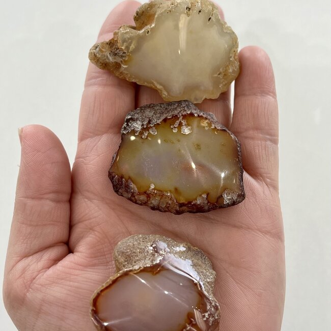 Enhydro Agate - Medium Rough Raw Natural