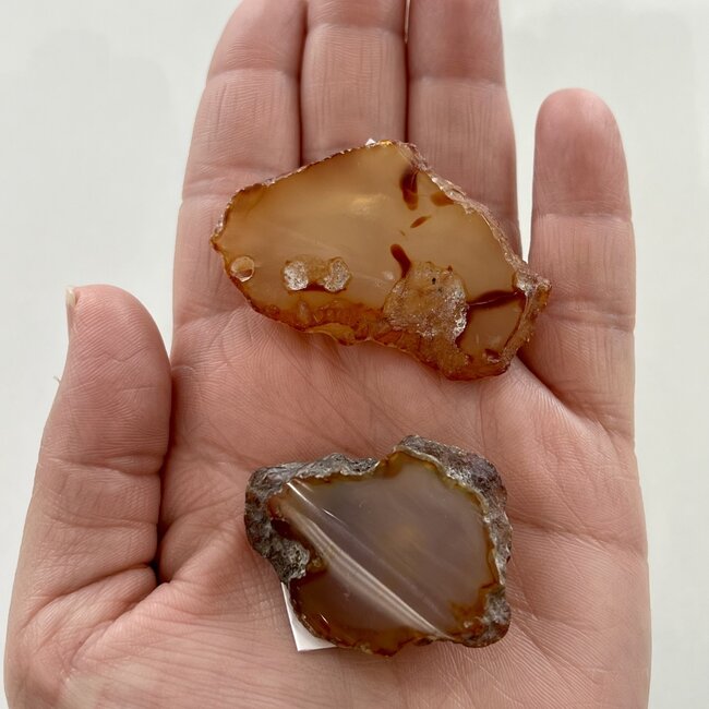 Enhydro Agate - Small Rough Raw Natural