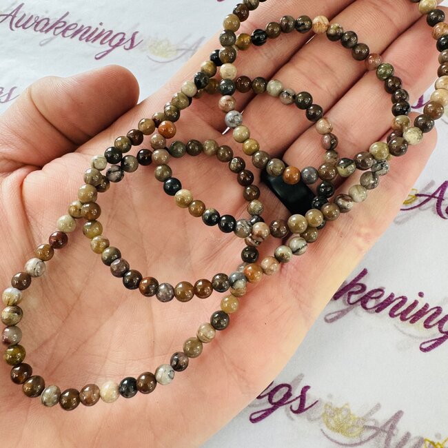 Natural Petrified Wood Bracelets - 4mm Elastic Mini