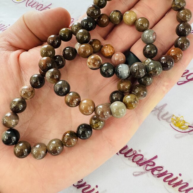Natural Petrified Wood Bracelets - 8mm