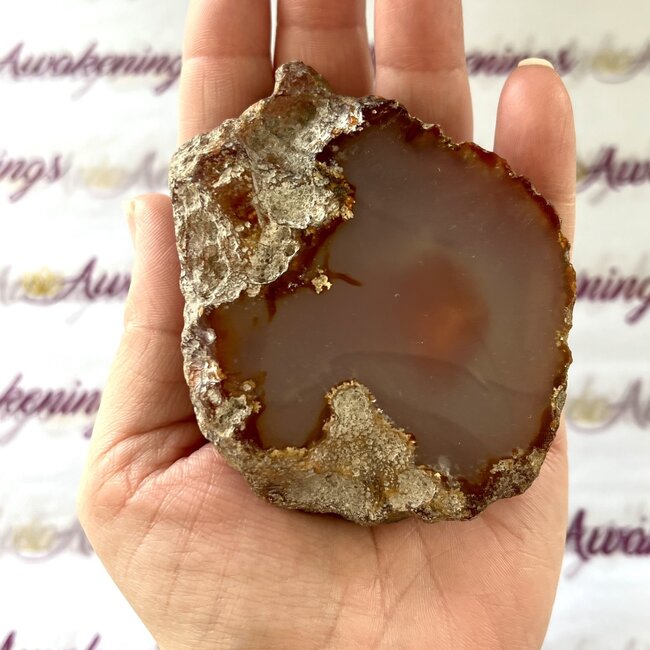 Enhydro Agate - Orange Rough Raw Natural