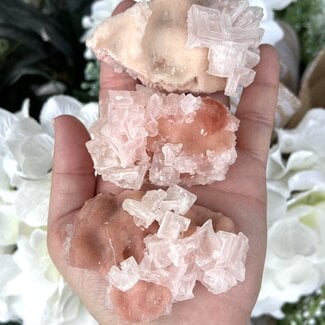 Pink Halite (Trona) - Rough Raw Natural (Large) - Extra Quality
