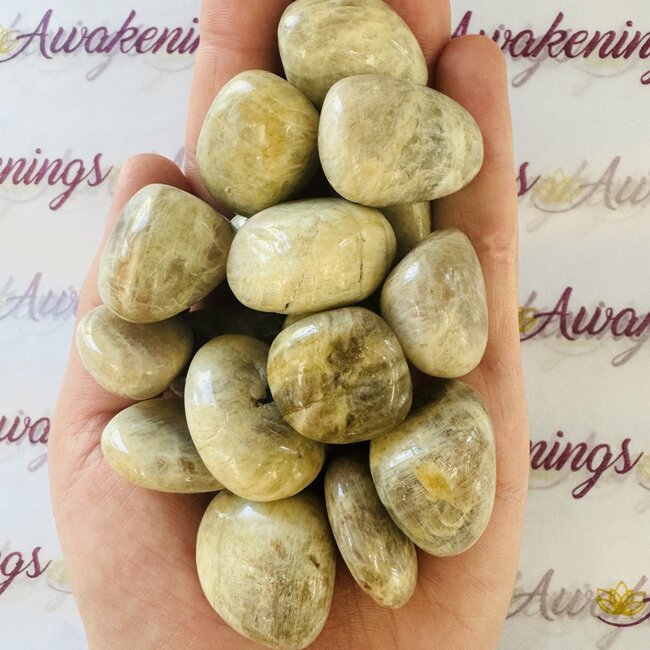 Moonstone with Sunstone (Heliolite) - Tumbled