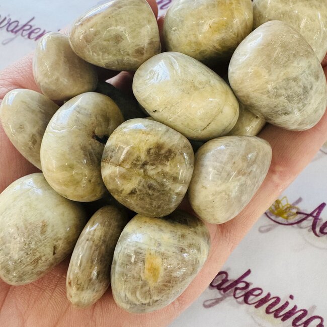 Moonstone with Sunstone (Heliolite) - Tumbled