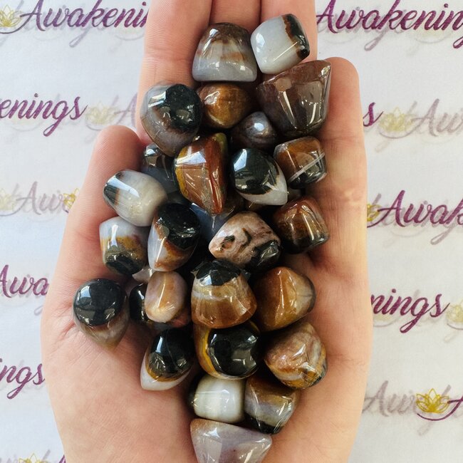 Shiva Eye Agate - Small Tumbled