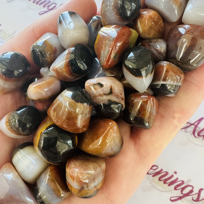 Shiva Eye Agate - Small Tumbled