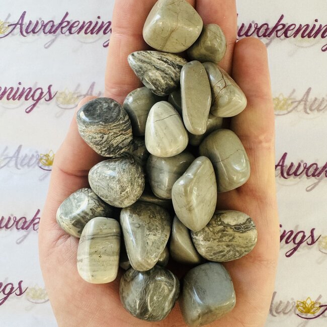 Shark Skin Agate - Tumbled