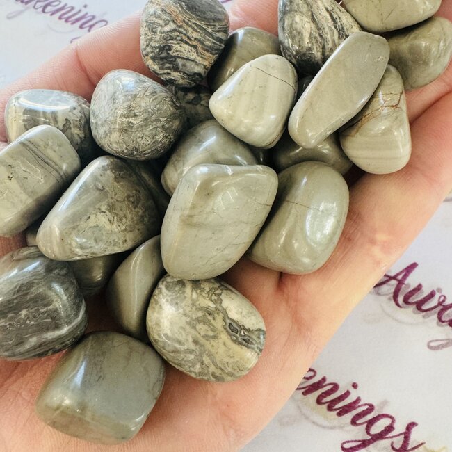 Shark Skin Agate - Tumbled