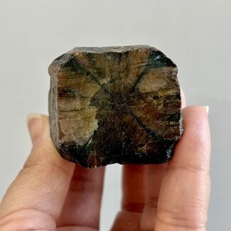 Chiastolite (Andalusite) Polished Face - Rough Raw Natural