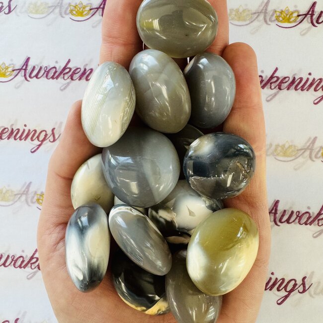 Orca Agate Palm Pillow Pocket Stones - Small
