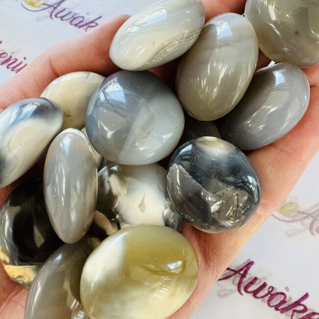 Orca Agate Palm Pillow Pocket Stones - Small