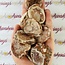 Pink Amethyst Slice Slab Flat - Medium