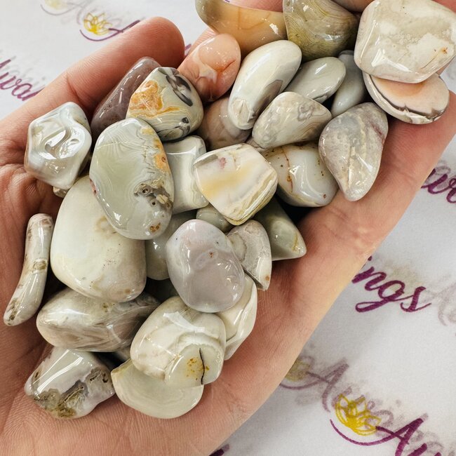 Pink Botswana Agate- Tumbled