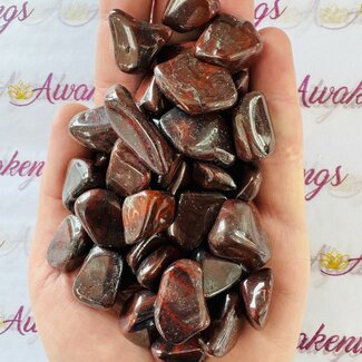 Mary Ellen Stromatolite - Tumbled