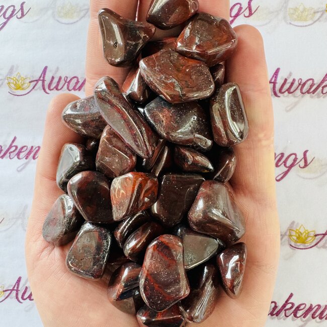 Mary Ellen Stromatolite - Tumbled