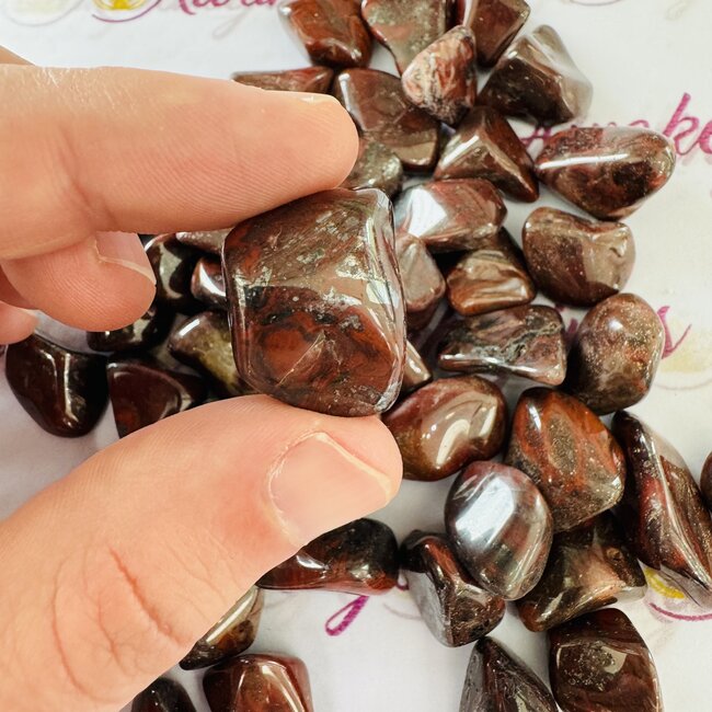 Mary Ellen Stromatolite - Tumbled