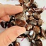 Mary Ellen Stromatolite - Tumbled