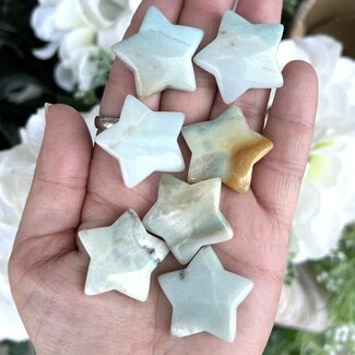 Caribbean Calcite Stars