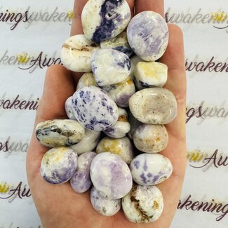 Purple Violet Opal - Tumbled (Morado Opal, Opal Royale, Violet Flame Opal)