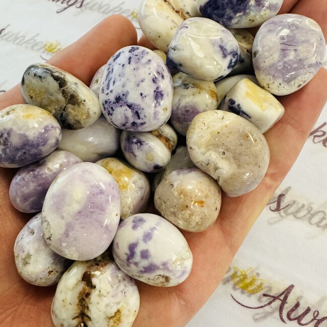 Purple Violet Opal - Tumbled (Morado Opal, Opal Royale, Violet Flame Opal)