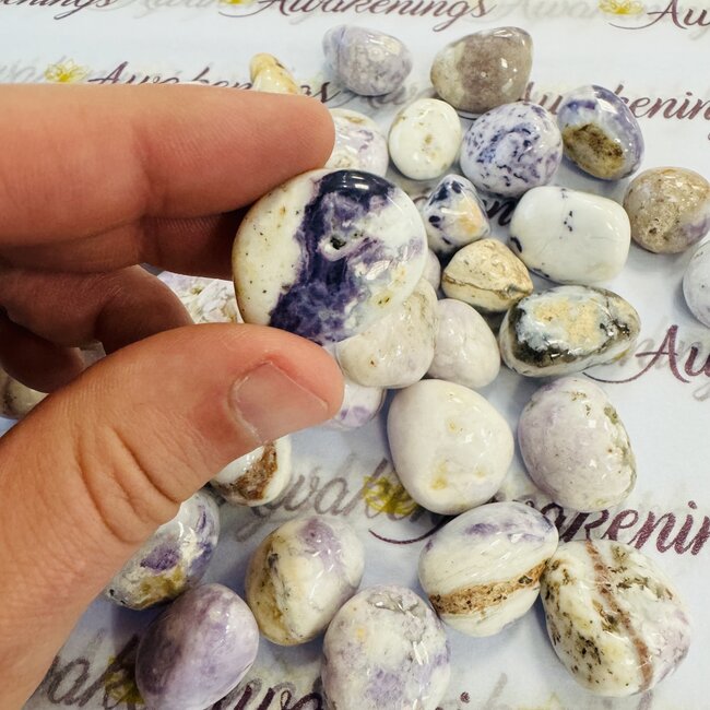 Purple Violet Opal - Tumbled (Morado Opal, Opal Royale, Violet Flame Opal)