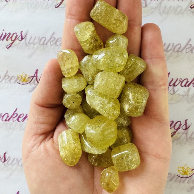 Yellow Apatite - Tumbled
