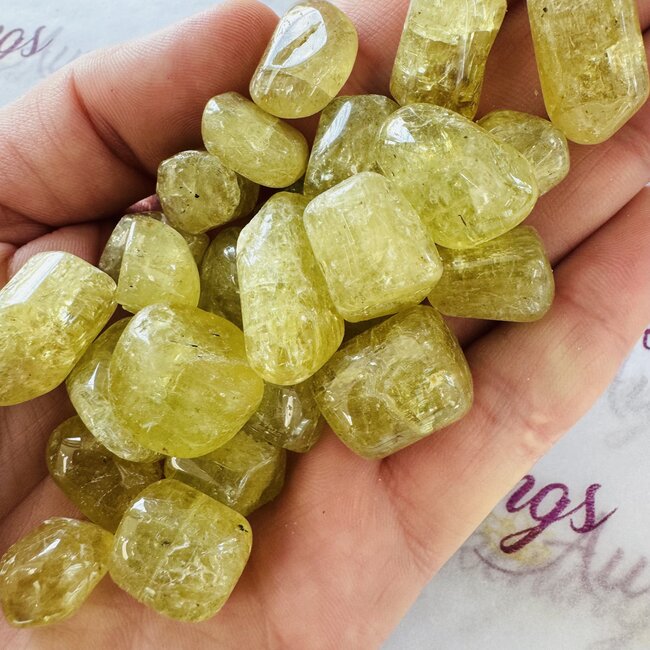 Yellow Apatite - Tumbled