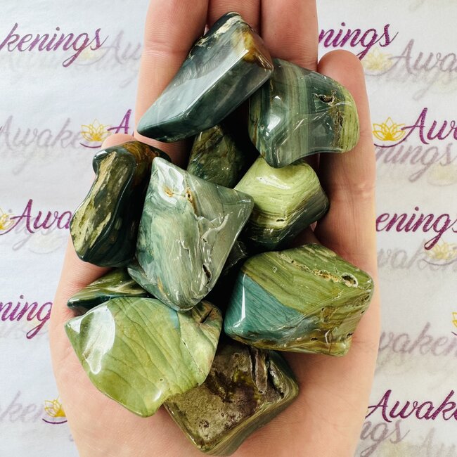 Swamp Bogwood (Larsonite) - Tumbled