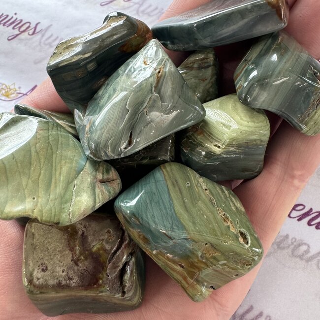 Swamp Bogwood (Larsonite) - Tumbled