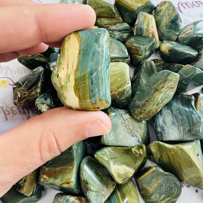 Swamp Bogwood (Larsonite) - Tumbled