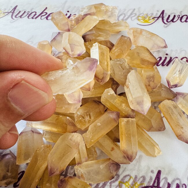Congo Ametrine Points - Rough Raw Natural