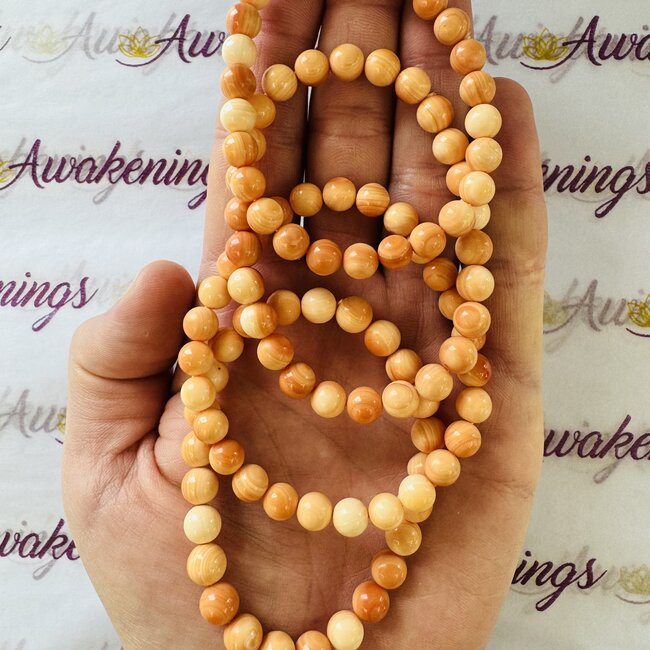 Conch Shell Bracelets - 8mm